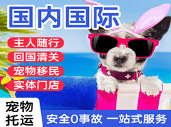 哈尔滨机场物流国际宠物托运 【国